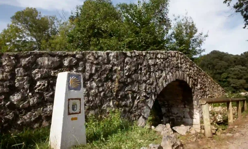 donporquex's tweet card. Un mapa interactivo localiza fosas de la Guerra Civil y detalla más cifras, zonas clave y el reto de identificar víctimas con ADN y archivos. La respuesta ya está trazada en un mapa público: el...