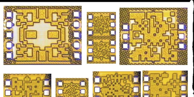 LuunaZuum's tweet card. That might be a problem.