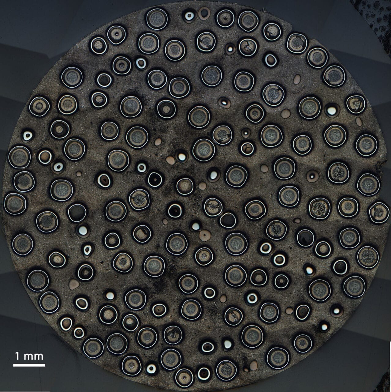 NEI's tweet card. Tristructural isotropic (TRISO) particle fuel has long been used in high-temperature gas-cooled nuclear reactors, but it is seeing a resurgence as a result of other applications. Modern TRISO fuel...