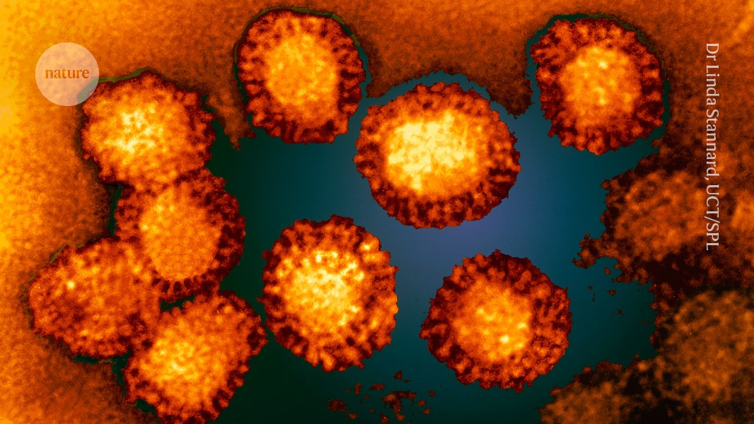 Nature's tweet card. Nature - The Pathoplexus database has sequences from Ebola, West Nile virus and another dangerous pathogen.