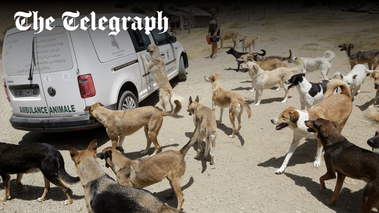 SamJDean's tweet card. Anger is growing internationally and within the country, threatening to overshadow football’s most prestigious event