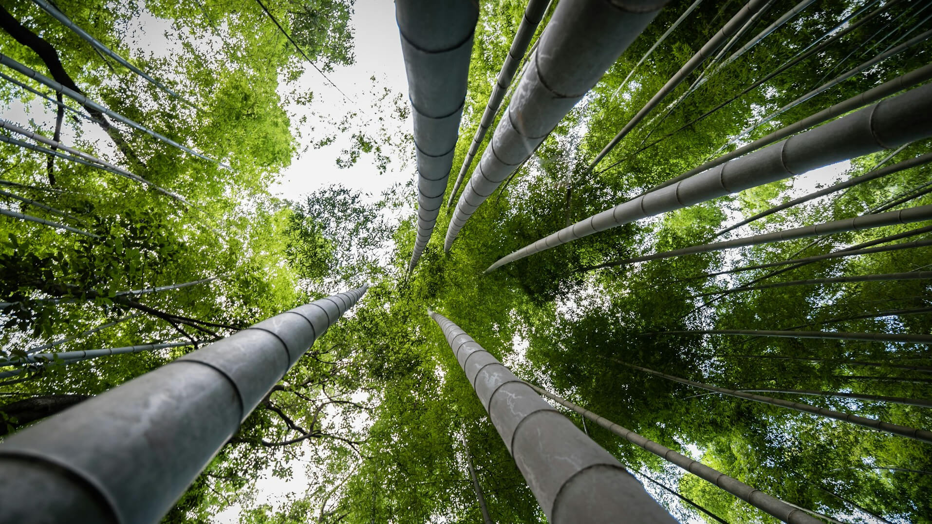 chronosphereio's tweet card. Observability is for everyone, but when people use different definitions for related terms, it seems more complex than it really is.