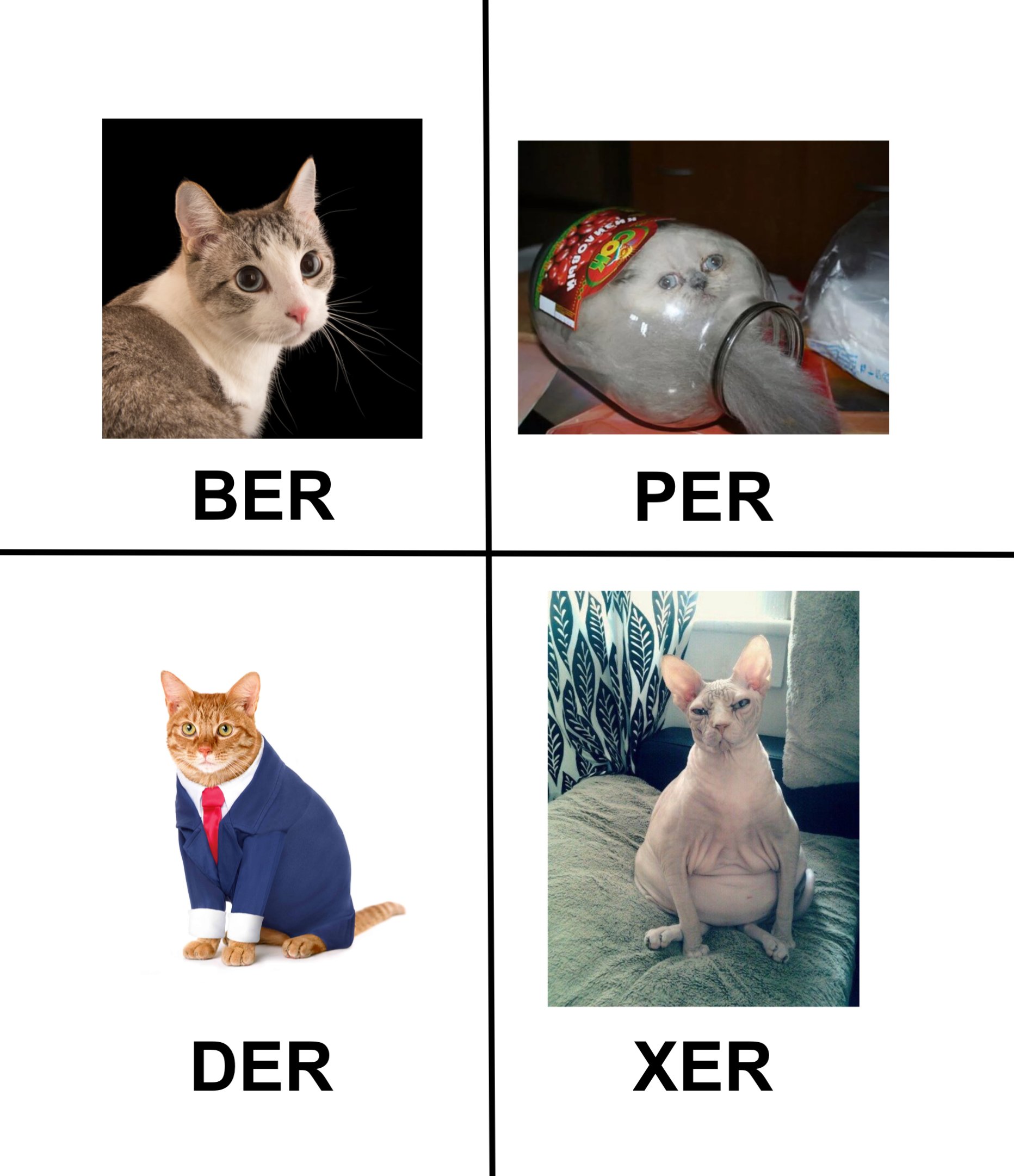 IntPyDiscu's tweet card. We’re working on integrating an ASN.1 API into PyCA Cryptography, built on top of the same Rust ASN.1 implementation already used by Cryptography’s X.509 APIs.