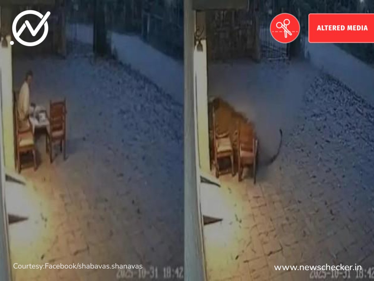 NewscheckerML's tweet card. മഹാരാഷ്ട്രയിലെ ചന്ദ്രപൂർ ജില്ലയിലെ ബ്രഹ്മപുരി ഫോറസ്റ്റ് ഗസ്റ്റ് ഹൗസിൽ നിന്നുള്ള സിസിടിവി ദൃശ്യങ്ങൾ എന്ന് അവകാശവാദത്തോടെ ഒരു കടുവ സുരക്ഷാ ജീവനക്കാരനെ