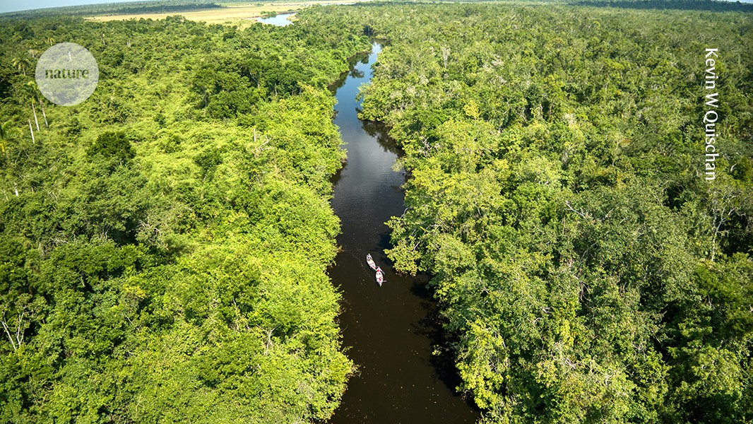 ecogeog's tweet card. Nature - In Belize, women are tackling climate change and biodiversity loss on the ground, but gender equity is needed in government, too — COP30 should address this.