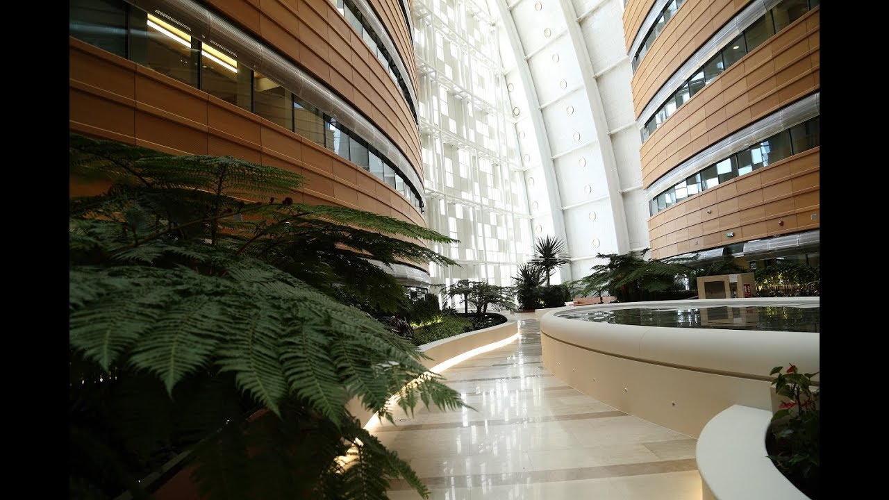 Qatar_Tribune's tweet card. Sidra to welcome its first inpatients in January 2018.