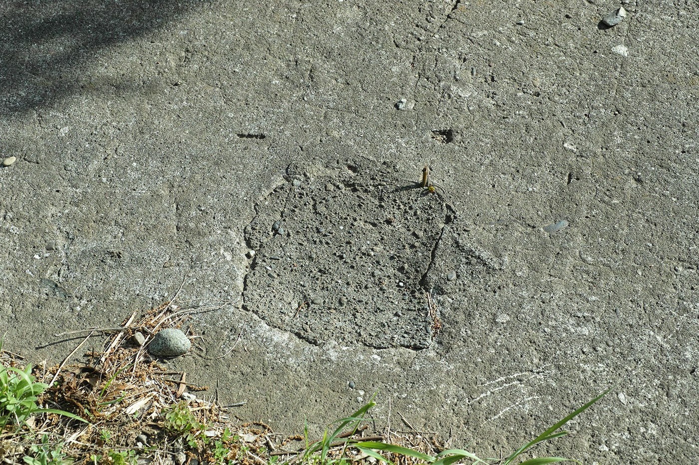 summar2's tweet card. （承前）　その坂道には、工事現場によくあるような折りたたみ式のバリケードがあったが、すでによけられていて、通行できるようになっていた。ひょっとしたら、バイクか車がそこを通っていくの