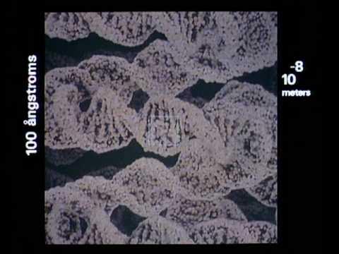 Dexter3Actual's tweet card. Powers of Ten™ (1977)