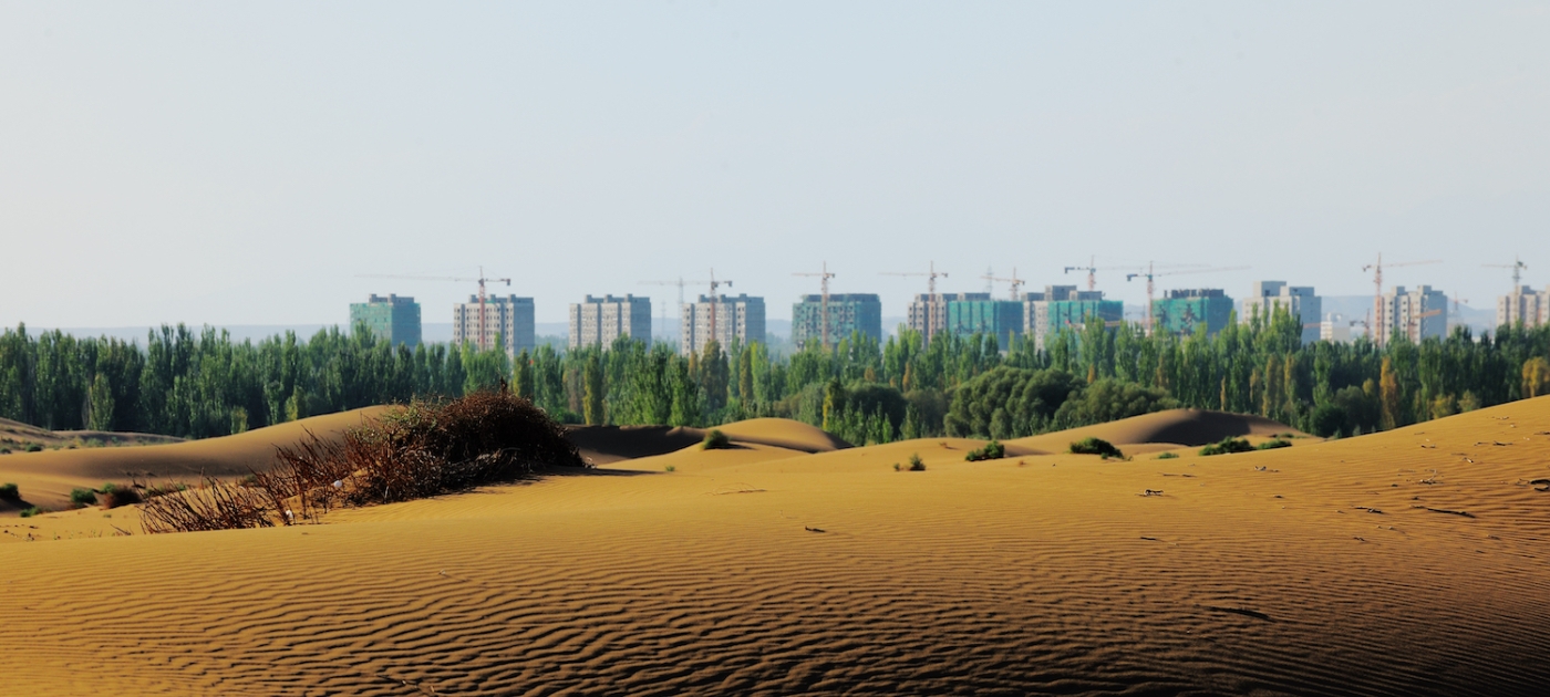 UNEP's tweet card. For nearly 50 years, UNEP has played a key role in the campaign to halt the expansion of the world’s deserts.