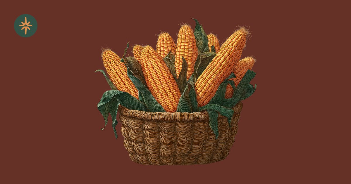 Polaris_App's tweet card. Block has enabled Bitcoin payments for around 4 million merchants using its Square seller platform, letting them accept BTC and settle via the Lightning Network. Sellers will pay no transaction fees...