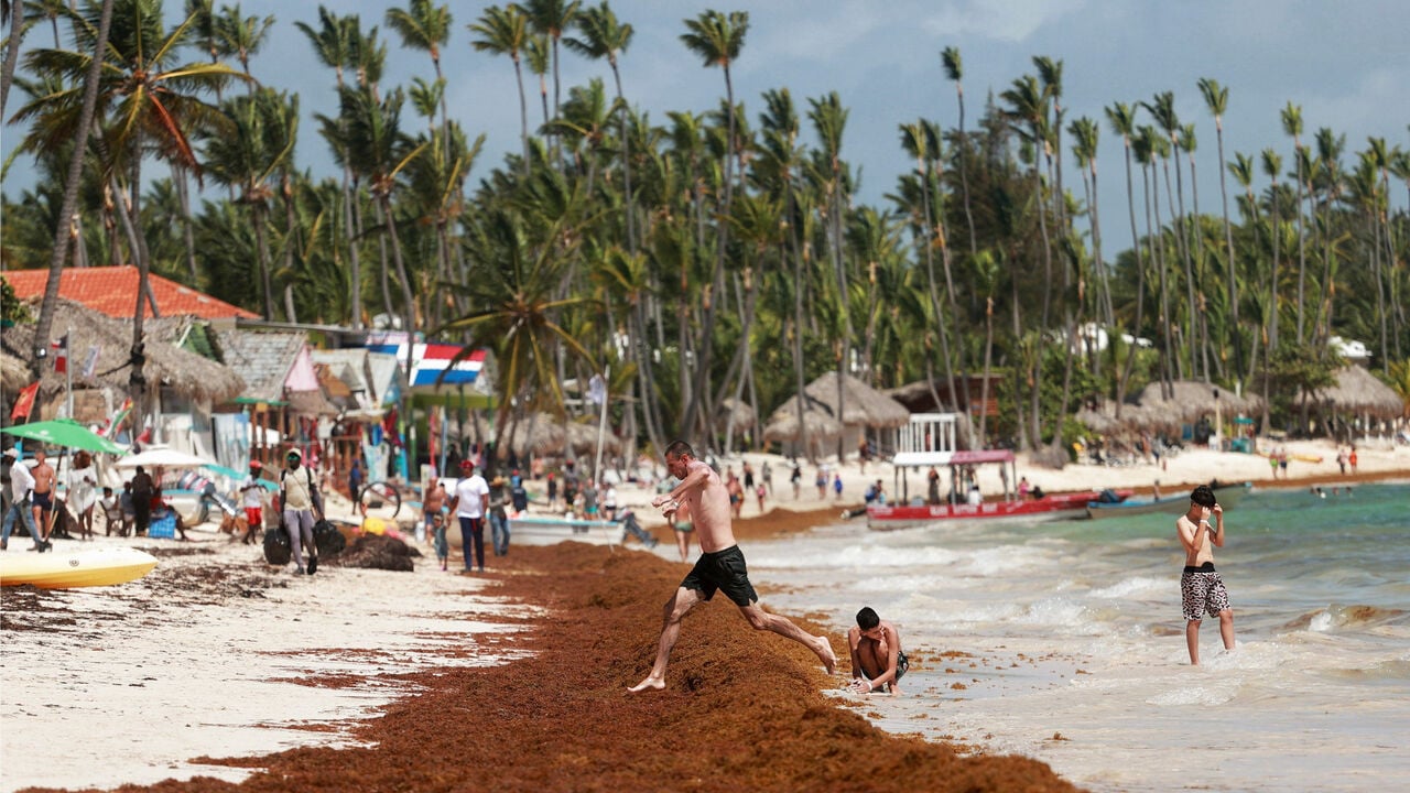 TheEconomist's tweet card. Rotting seaweed is stinking up Caribbean beaches