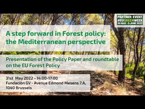 LIFE_RESILIENT's tweet card. A step forward in Forest policy: the Mediterranean perspective