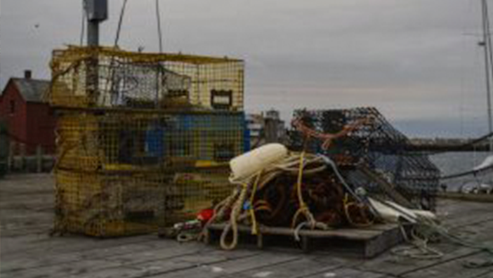 robertsonprog's tweet card. This lesson explores what happens when individuals act only in their best interests to get the greatest number of fish. The simulation will allow students to see the different possibilities of...