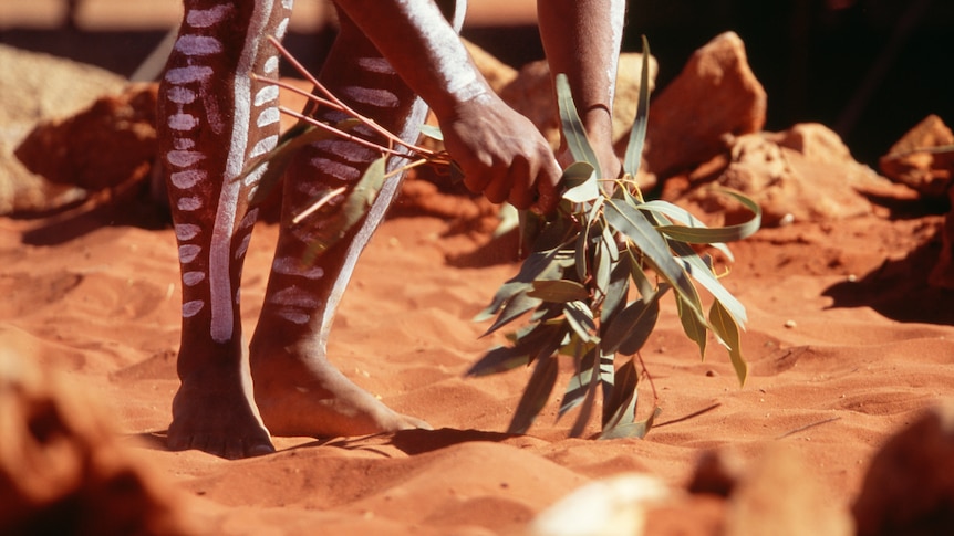 normanswan's tweet card. Australians are soon to vote on changing the Australian Constitution in order to recognise First Nations people—a vote called the Voice to Parliament. The Voice has health implications and we discuss...