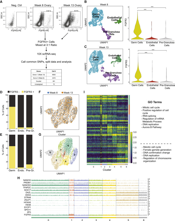 tsotnech's tweet card. Stem cell biology benefits from in vivo reference maps of human cell types to enable comparisons with human cells generated in vitro using stem cell differentiation. In this study, Chitiashvili and...