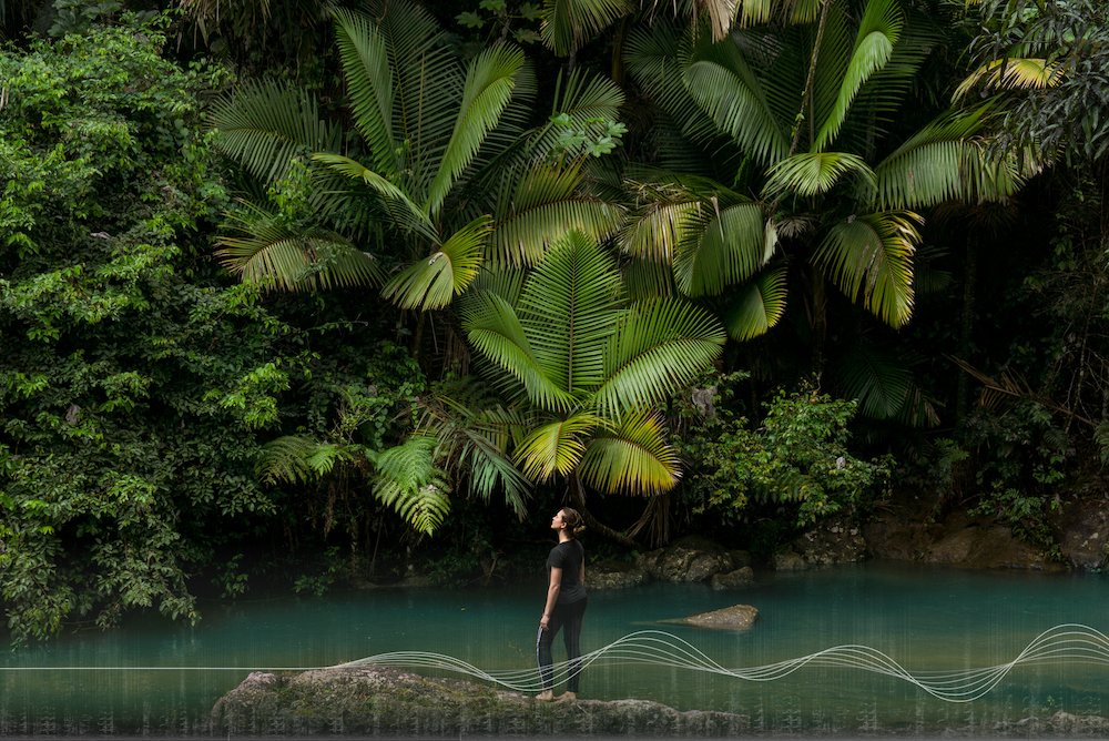 earthspecies's tweet card. For the first time, we asked the world what it wants from a future where AI helps us understand animal communication. Surveying 1,057 people across 67 countries, we discovered remarkable global...