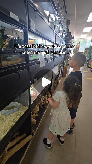 InkedWellnessmo's tweet card. Rosemary | Mom Life & Money Hacks ✨️ (@inkedwellnessmombie) • Instagram reel