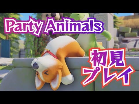 diner_ryukyu's tweet card. 「猫居るかな～？PartyAnimals！！のんびり配信ですよ～！　　#partyanimals #ゲーム実況 #vtuber