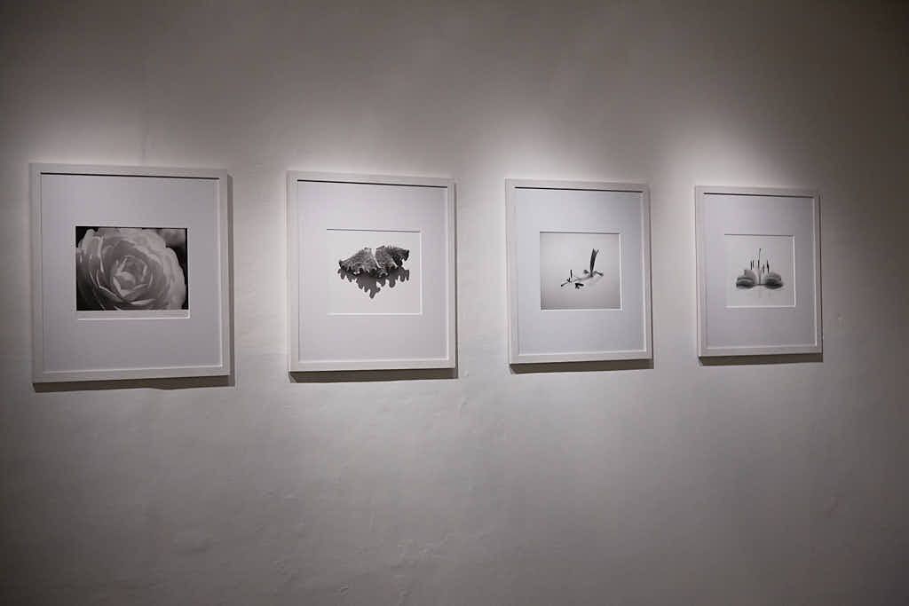 design_hue's tweet card. Paolo Mazzanti, foto d'autore! - Paolo Mazzanti, author's photo!