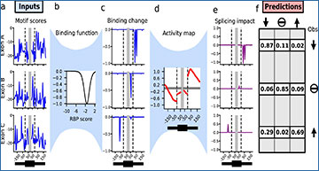 RNASeqBlog's tweet card. KATMAP infers splicing factor activity and regulatory targets from knockdown data