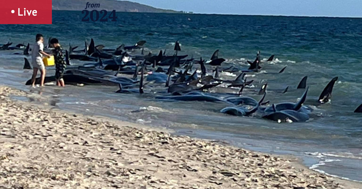 bonnieraynor's tweet card. Follow our live coverage here.