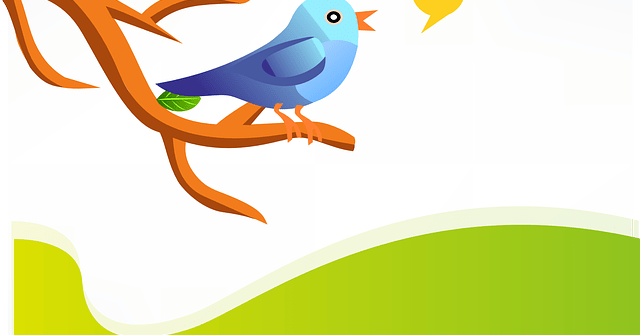 Tweet card summary image