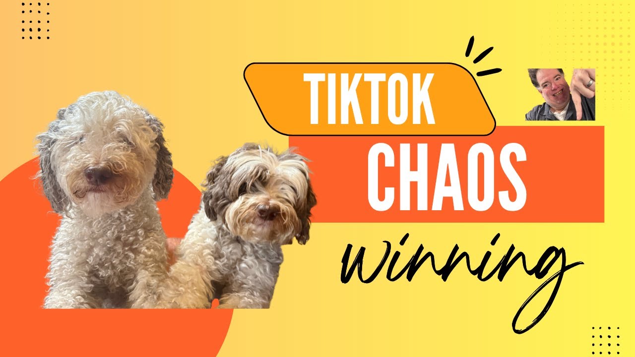 wrightimc's tweet card. TikTok is Chaos. Thrive in the Chaos.