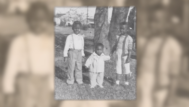 TougalooTree's tweet card. The fight for civil rights and justice goes back generations and has looked different each decade.