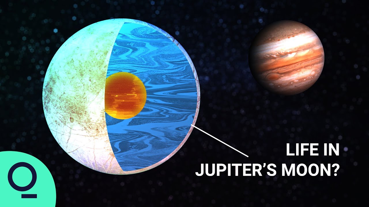 fall_mojo's tweet card. NASA's Europa Clipper Is Looking for Life on Ocean Worlds