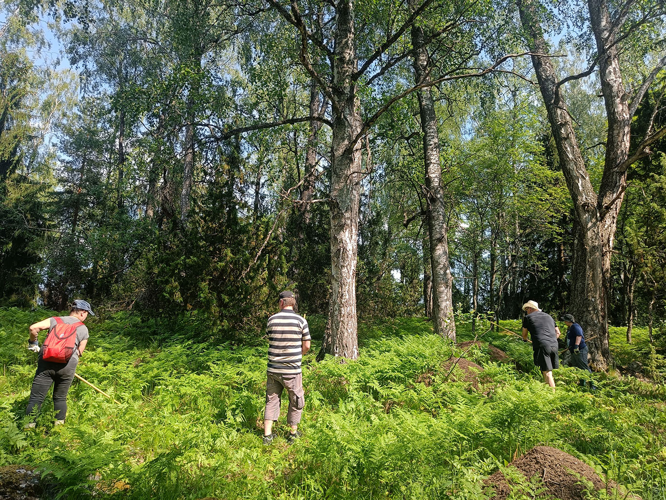 polyttajat's tweet card. Valtatie 12:n tuntumassa Sastamalassa sijaitsee Rautaveteen työntyvä vehreä Vehmaanniemi, valtakunnallisesti [...]