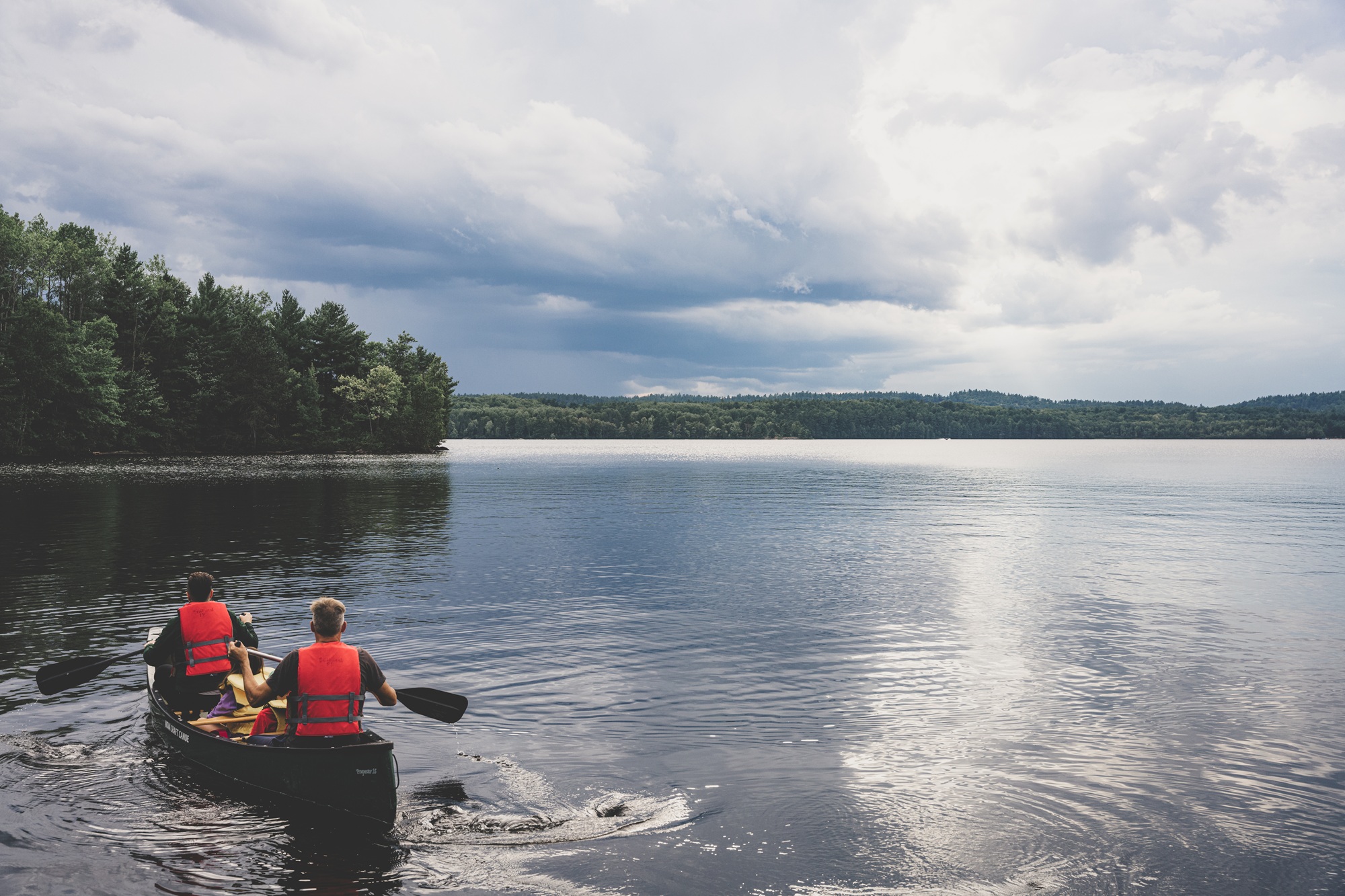 MurphysPointPP's tweet card. You can now guarantee access to 75 provincial parks by buying your daily vehicle permit online up to five days before your visit. Read on!