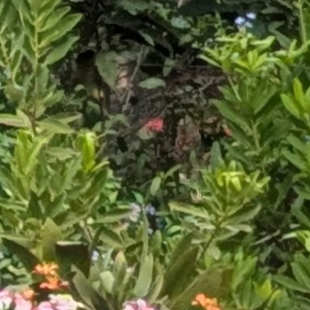 kimmie_2009's tweet card. Kimberly Smith (@auntkimmie_2015) • Instagram photo