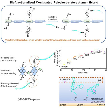CellRepPhysSci's tweet card. Jiang et al. present biofunctionalized organic mixed ionic-electronic conductors (OMIECs), specifically single-component materials that integrate high specificity with semiconducting properties,...