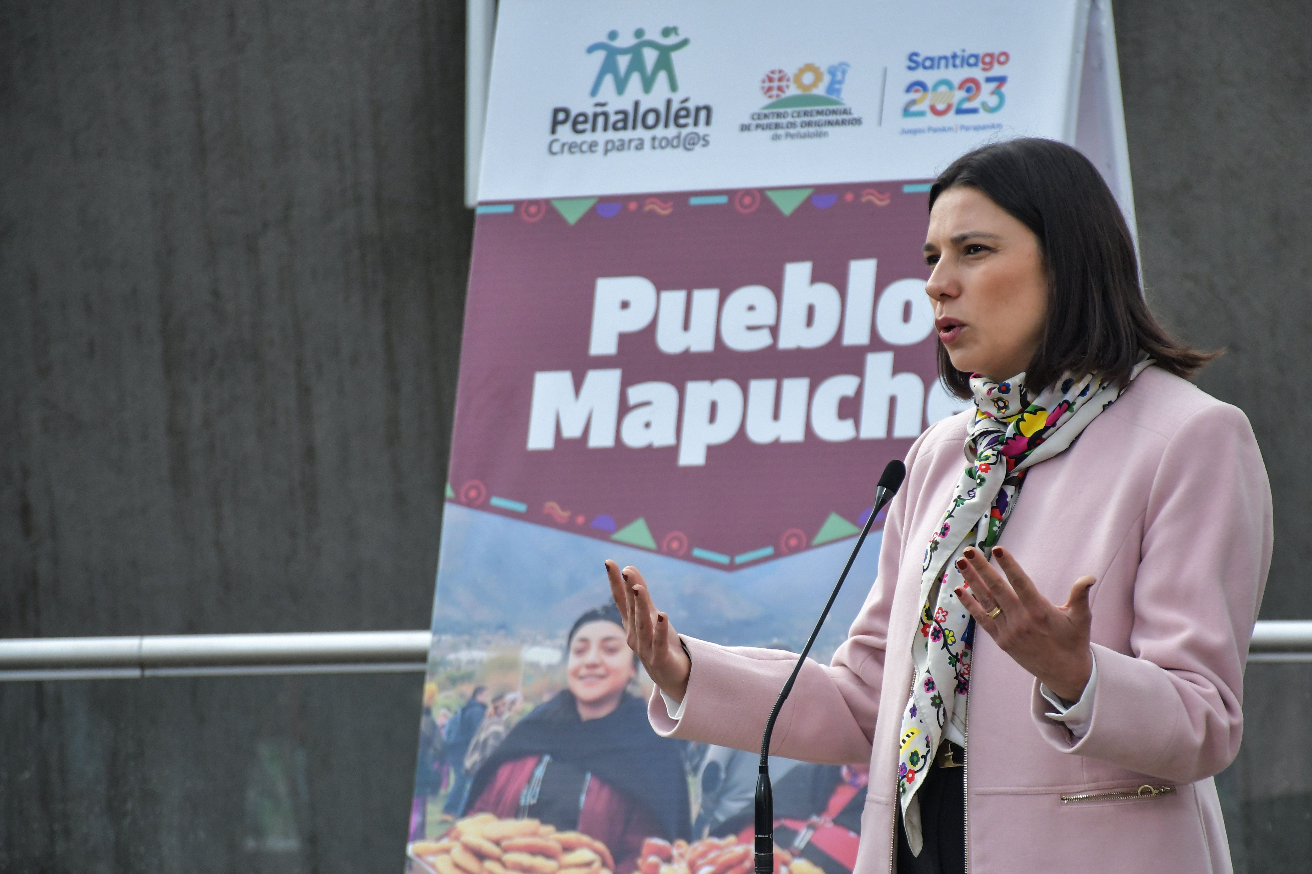 CNNChile's tweet card. "Las comunidades están tratando de mantener viva la lengua a través de escritos, de formación a los niños y niñas. Por lo tanto, es muy importante acompañar desde el Estado esos esfuerzos de las...