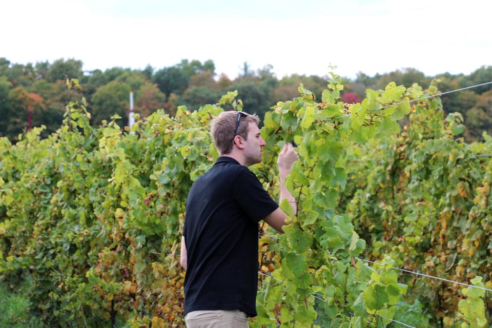 GrowingProduce's tweet card. Beneficial microbes, plant-based solutions provide crop protection alternatives for outsmarting adaptive bacteria.