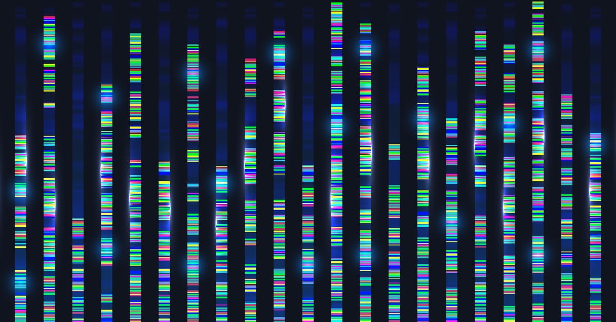 BHFDataScience's tweet card. Whether you’re a seasoned scientist or new to the field, accessing and understanding complex health datasets can be a major challenge. Health Data Scientist Lars Murdock explains how the BHF Data...