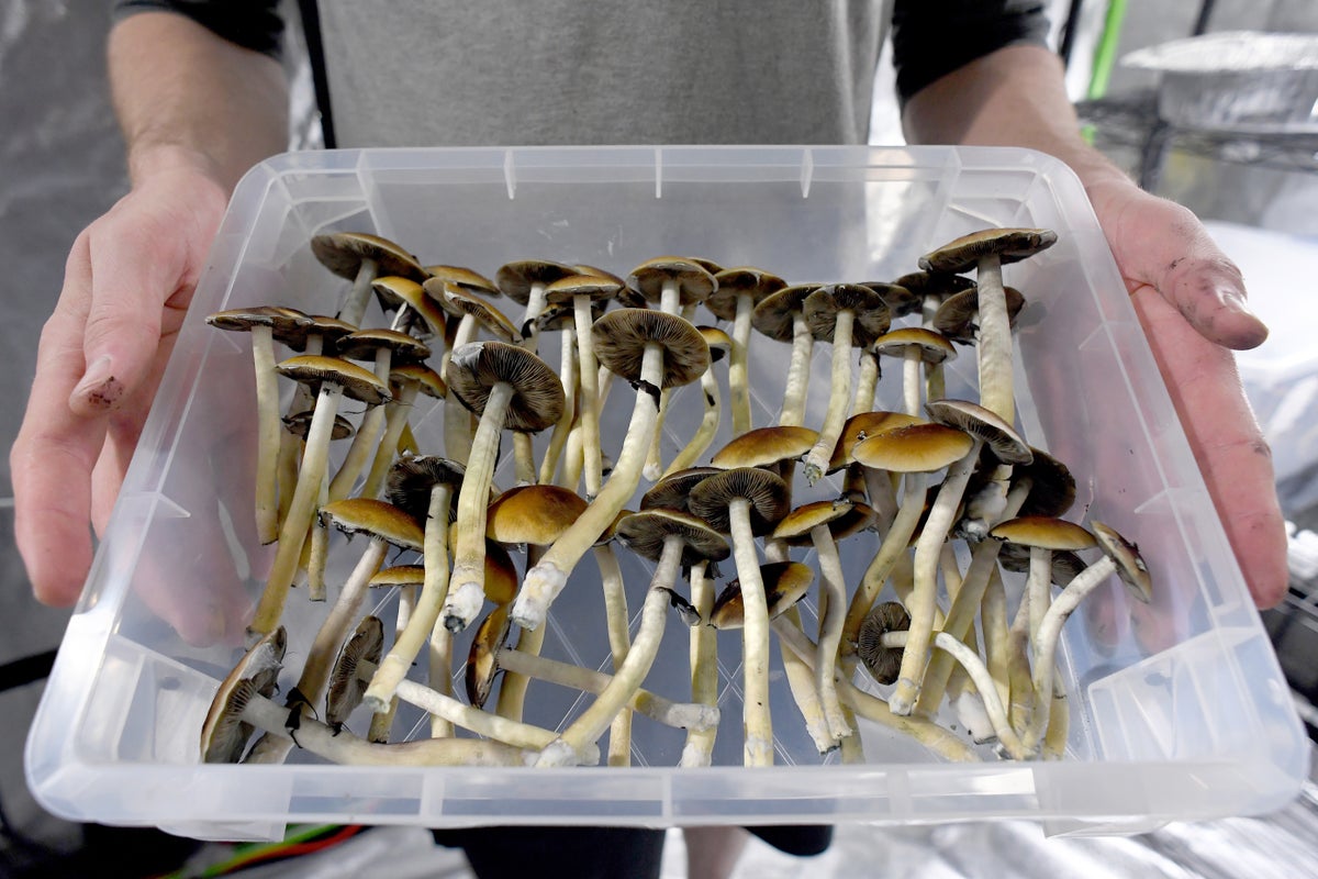 Drug_Researcher's tweet card. A new mental health treatment using the psychedelic compound psilocybin raises questions about medicine and values