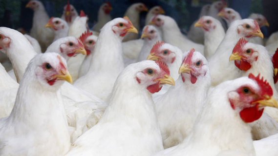 Image for twitter card