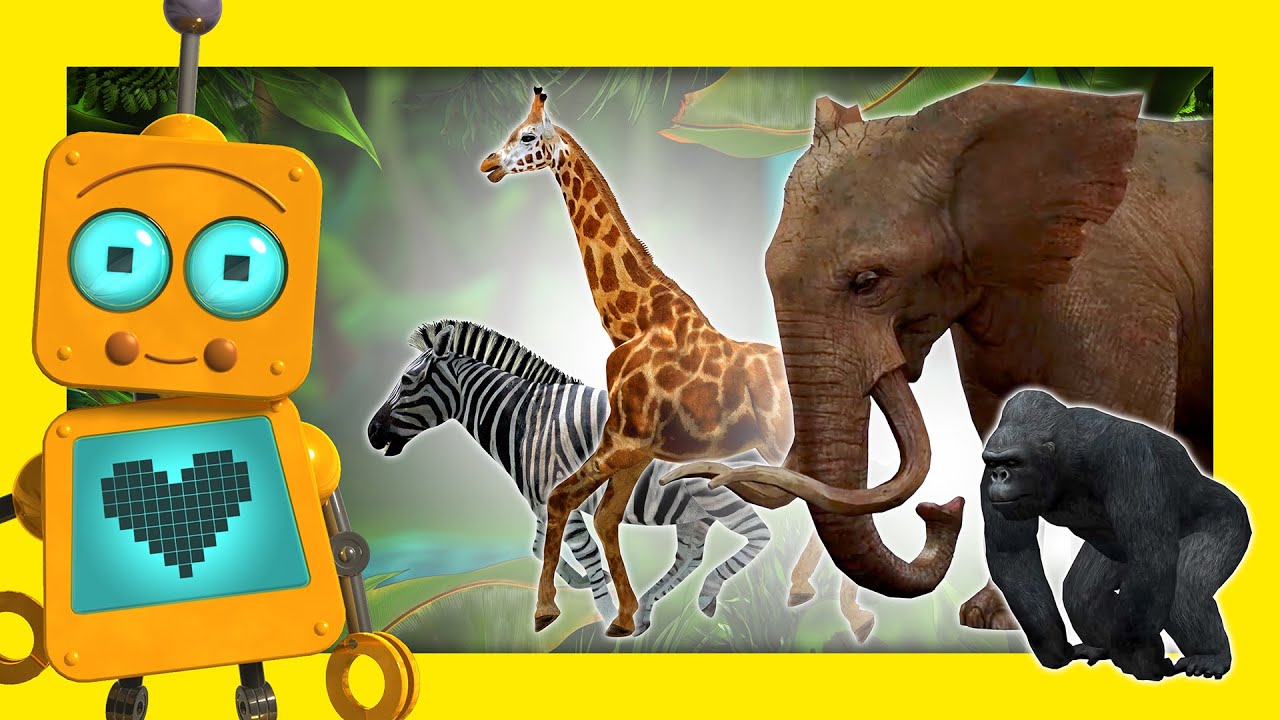 robotots's tweet card. ZOO videos for kids San Diego ZOO Animals 🙉