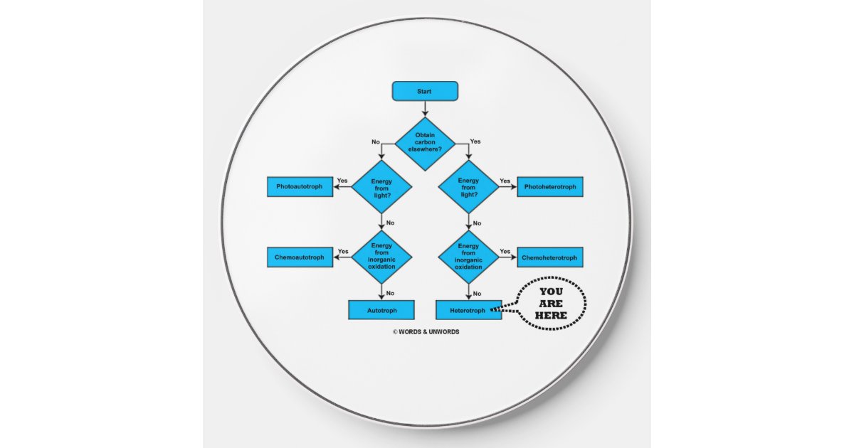 wordsandunwords's tweet card. You are a heterotroph -- not an autotroph. Showcase this biological fact with this flow chart diagram, with the "You Are Here" callout pointing toward heterotroph. Biology humor wireless charger for...