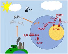 EnvSciRSC's tweet card. The gas-particle partitioning of low-volatility and semi-volatile organic compounds (L/S-VOCs) plays a dominant role in the formation of secondary organic aerosol, carrying implications for the...