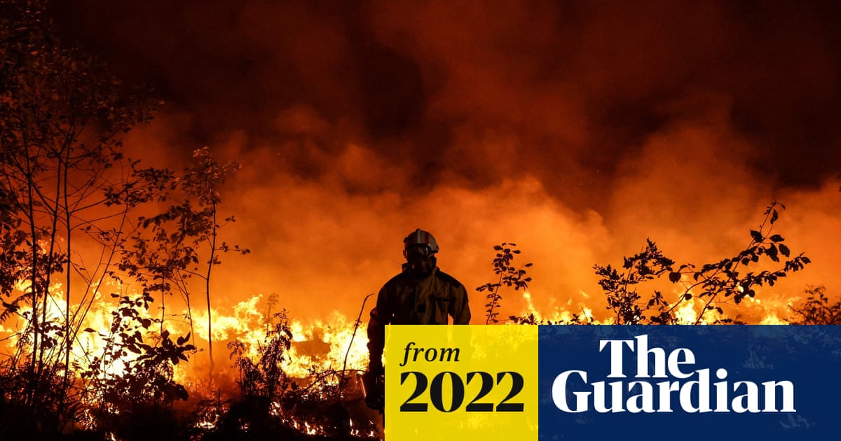 DerekTittensor's tweet card. Failure to cut carbon emissions means ‘rapid transformation of societies’ is only option to limit impacts, report says