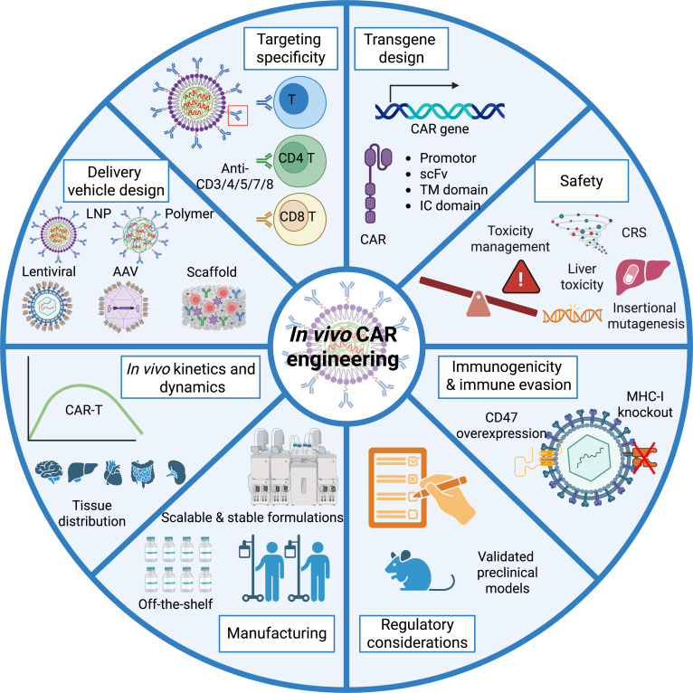 CellRepMed's tweet card. In vivo CAR engineering is an emerging therapeutic platform for cancer and autoimmune diseases. Enabled by advanced delivery systems such as immune-evasive lentiviral vectors and targeted lipid...