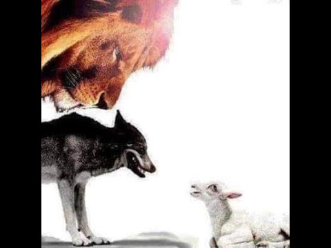 barclaymichael2's tweet card. the FUNNEST JOKES ON YOUTUBE BY MIKE BARCLAY