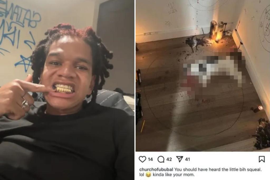 sne70433's tweet card. A Bronx judge isn’t pussyfooting around with a wannabe rapper accused of butchering a helpless house cat online in a sick satanic ritual.