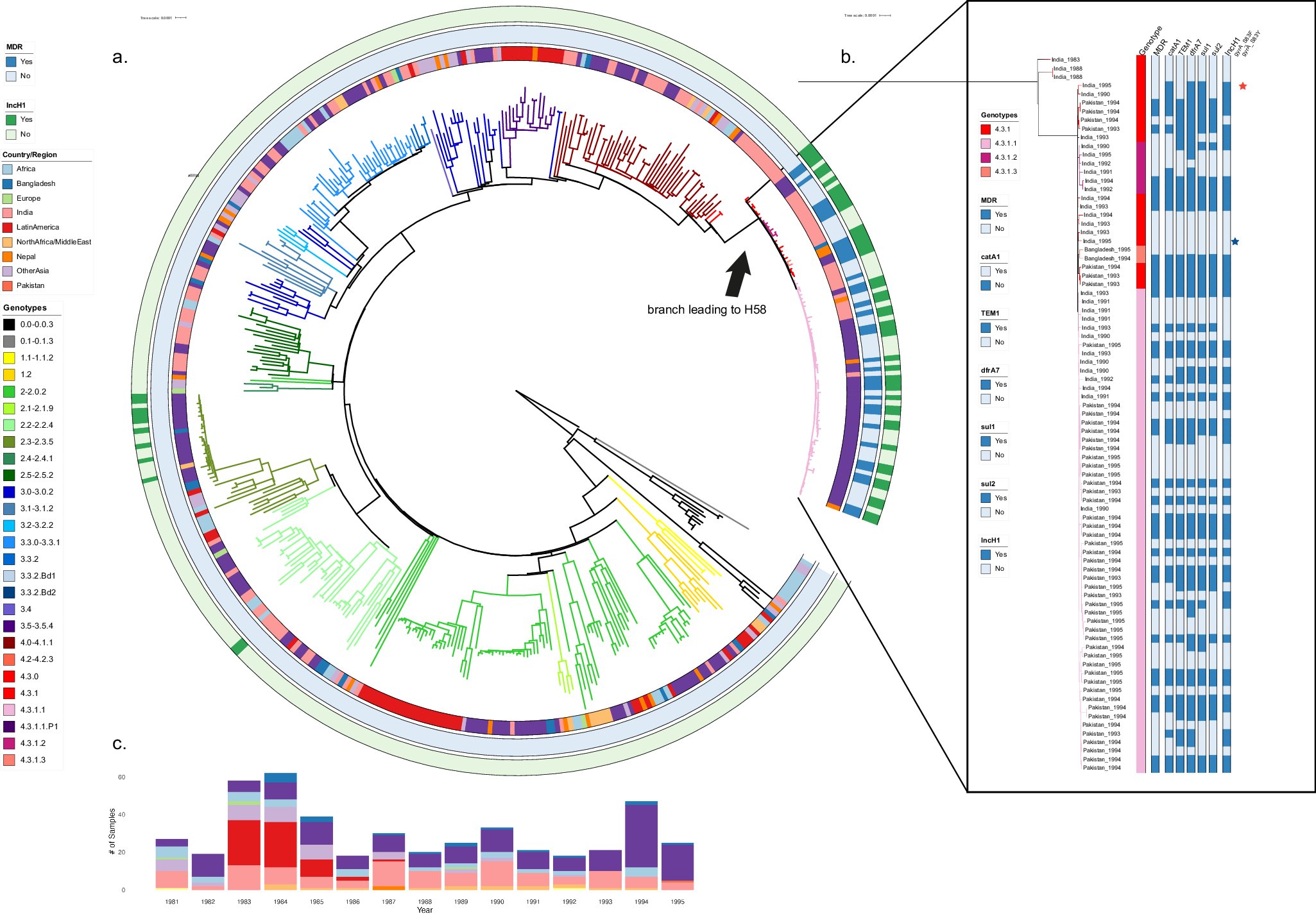 CommsBio's tweet card. Communications Biology - A phylogenetic analysis of Salmonella Typhi isolated from returning travelers to the United Kingdom between 1980 and 1995 suggests that H58 emerged from a chronic carrier...