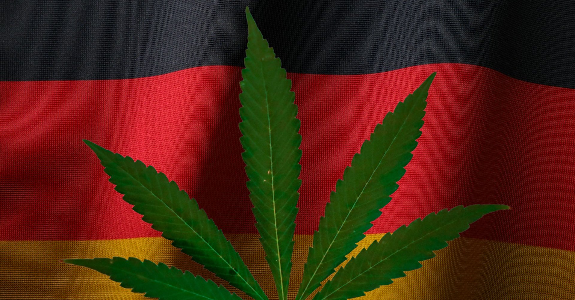 HIGH_TIMES_Mag's tweet card. Germany’s cannabis world is moving fast. While the country breaks its own records for medical flower imports, it’s also moving forward—unevenly but