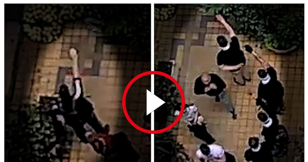 NinuweDescamps's tweet card. En marge de la manifestation néofasciste organisée samedi 10 mai à Paris, des militants radicaux se sont discrètement rassemblés pour «honorer» la mémoire de l’un des leurs. «Libération» révèle en...