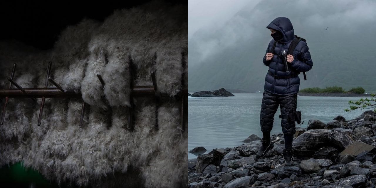 fvcmedia's tweet card. ALLIED Feather + Down, a global leader in high-performance, responsibly sourced, and sustainably processed down, is advancing its transparency initiatives in li