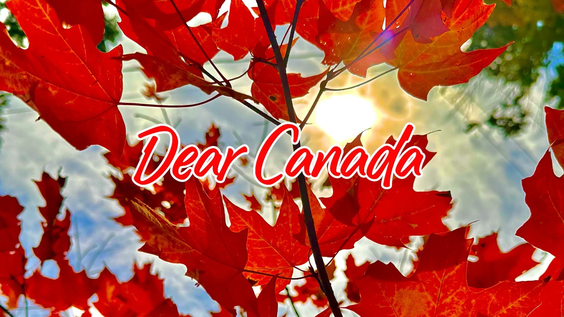 DavidRCarroll's tweet card. Dear Canada...